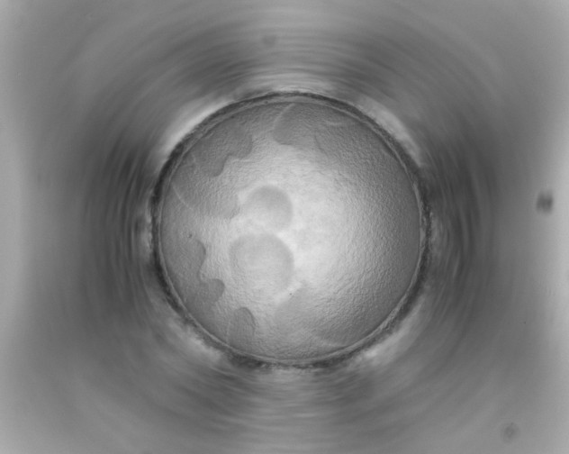 X0000091500782200709061921