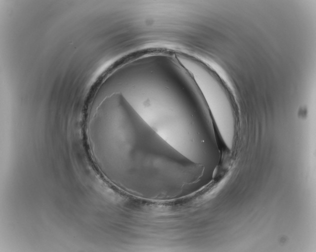 X0000091500783200709061921