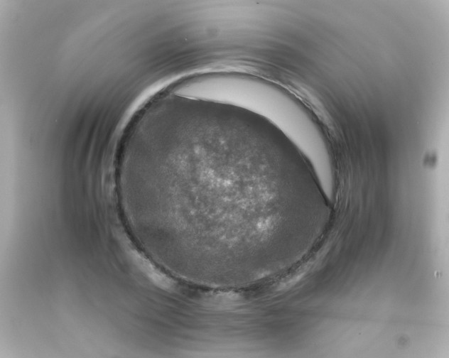 X0000091500784200709061921