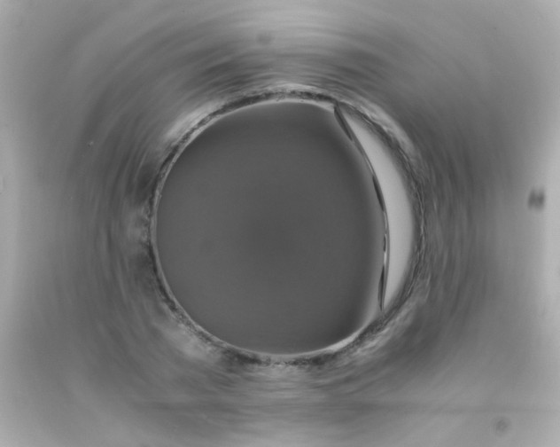 X0000091500785200709061921