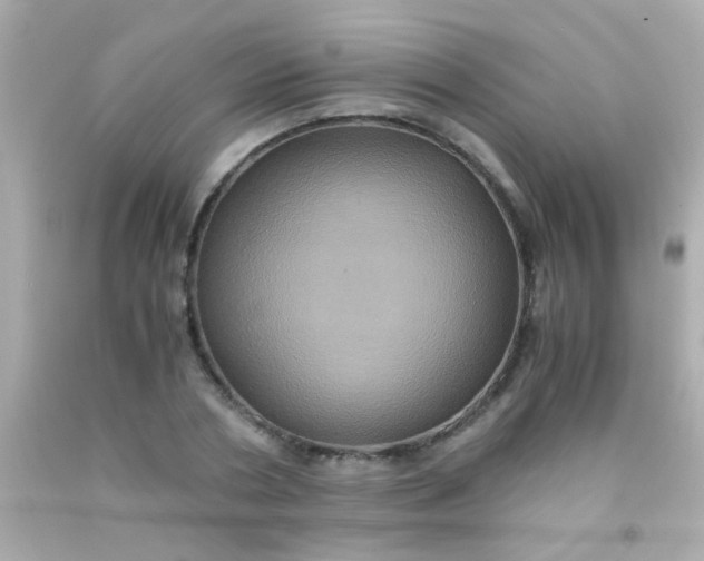 X0000091500786200709061921