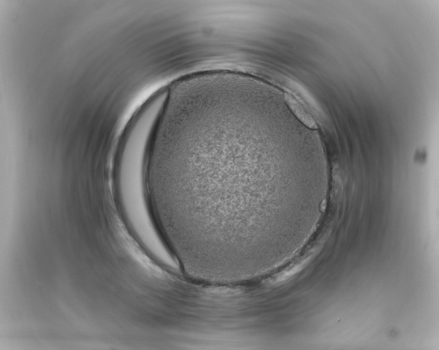 X0000091500788200709061921