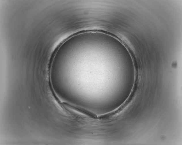 X0000091500789200709061921