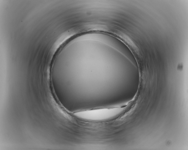 X0000091500790200709061921