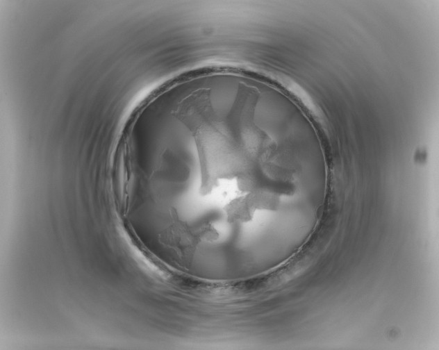 X0000091500791200709061921