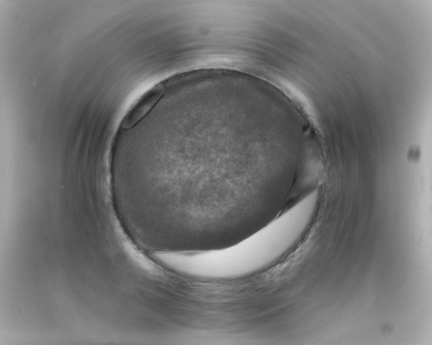 X0000091500792200709061921