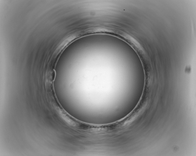 X0000091500793200709061921