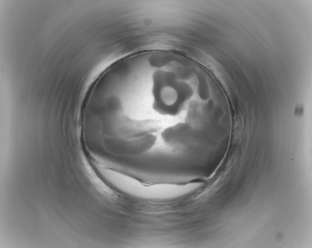 X0000091500795200709061921