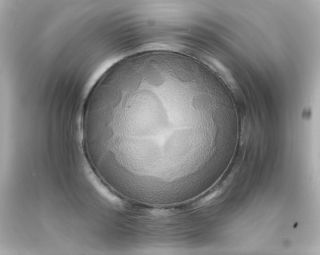 X0000091500796200709061921