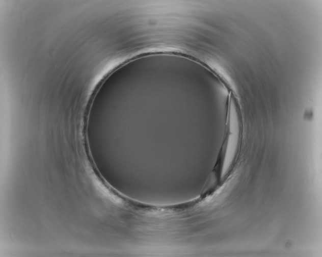 X0000091500797200709061921