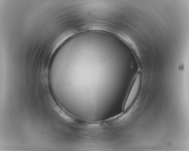 X0000091500798200709061921