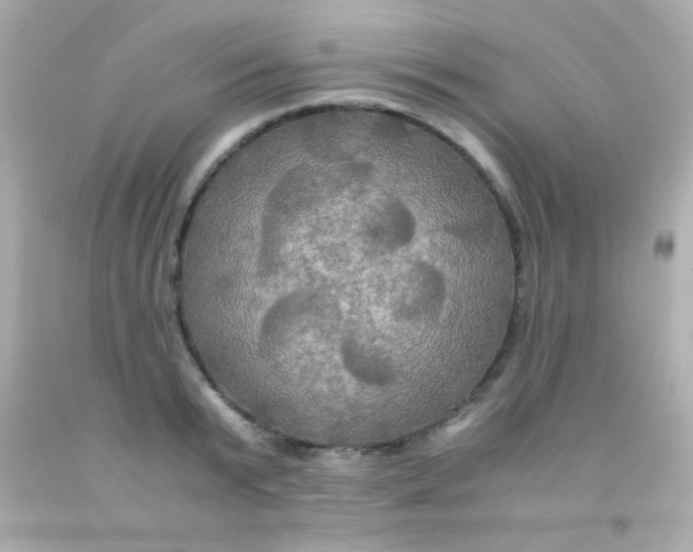 X0000091500799200709061921