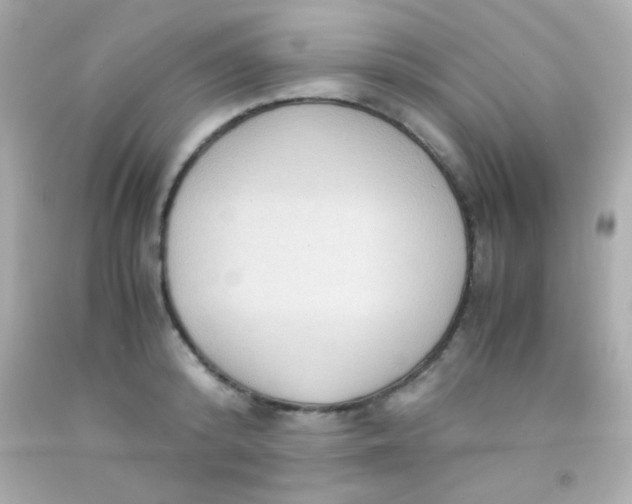 X0000091500800200709061921