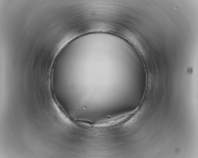 X0000091500802200709061921