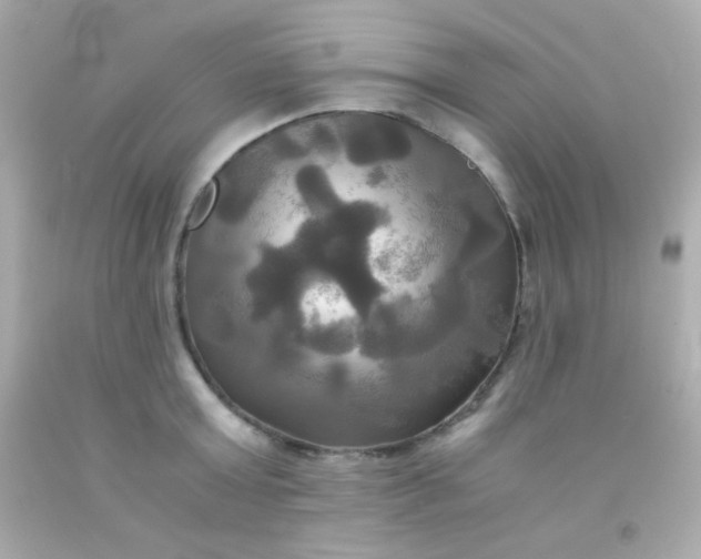 X0000091500803200709061921