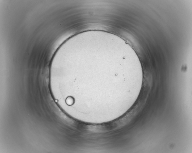 X0000091500804200709061921