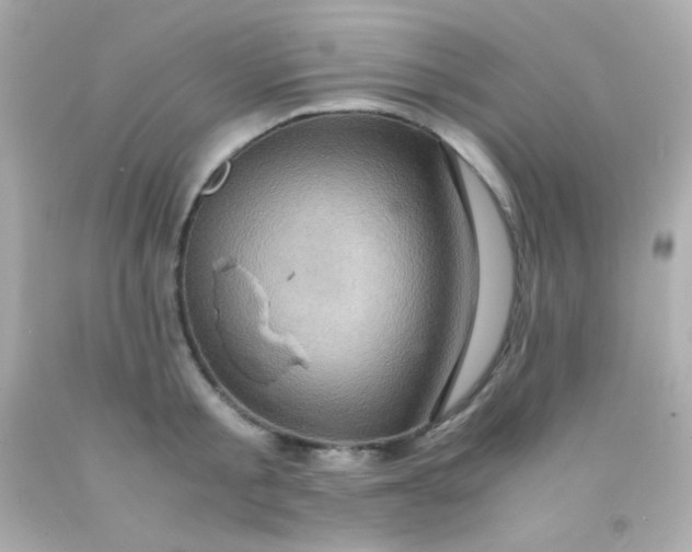 X0000091500805200709061921