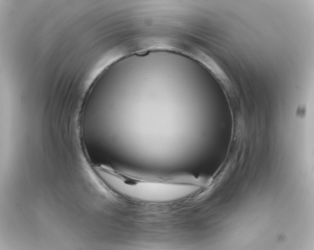 X0000091500806200709061921