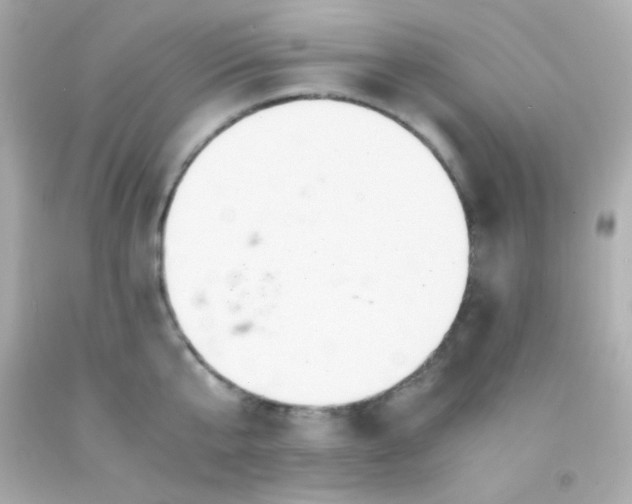 X0000091500807200709061921