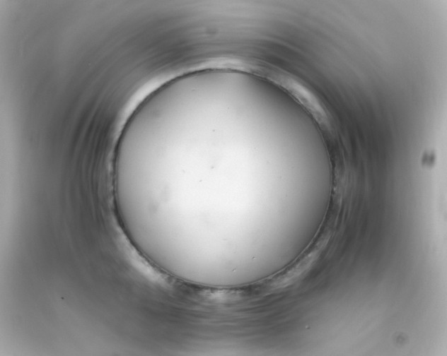 X0000091500808200709061921