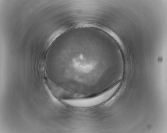 X0000091500809200709061921