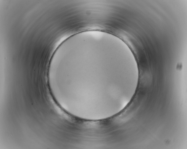 X0000091500810200709061921