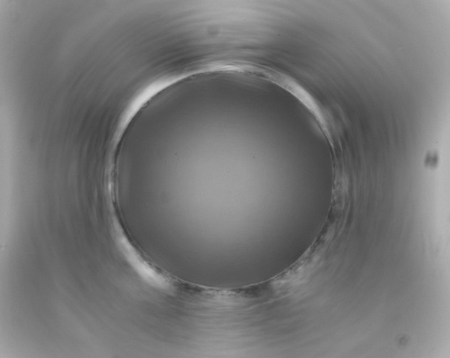 X0000091500811200709061921