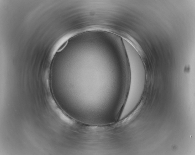 X0000091500812200709061921