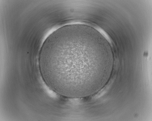 X0000091500813200709061921