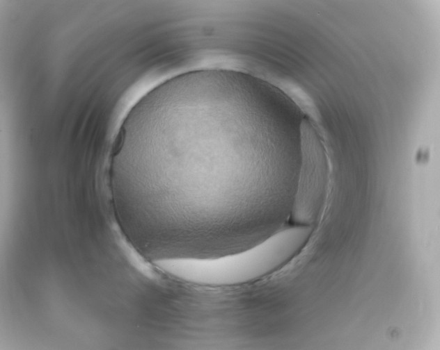 X0000091500816200709061921