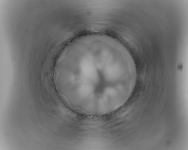 X0000091500817200709061920