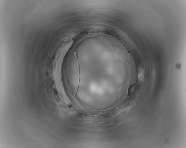 X0000091500819200709061920