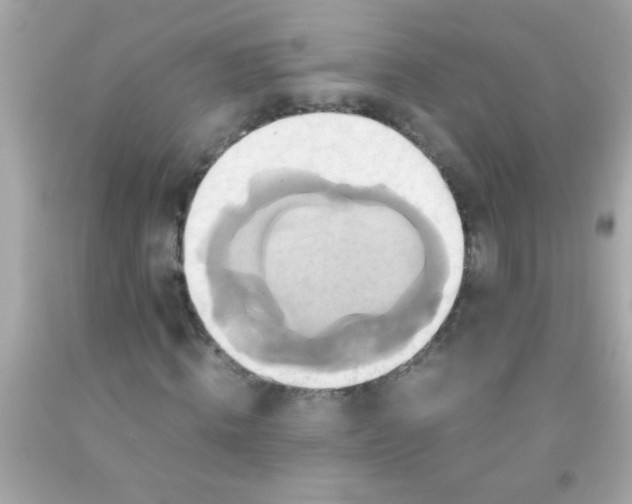 X0000091500820200709061920