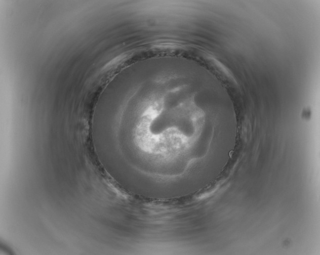 X0000091500821200709061920