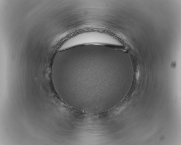 X0000091500822200709061920