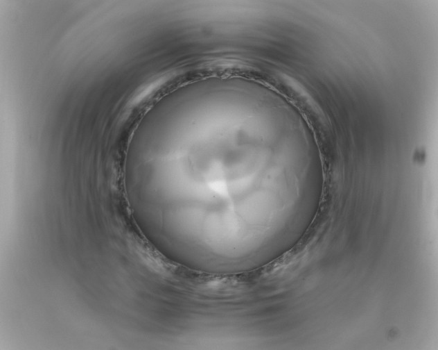 X0000091500823200709061920