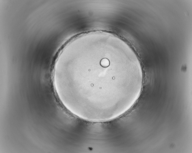 X0000091500828200709061920