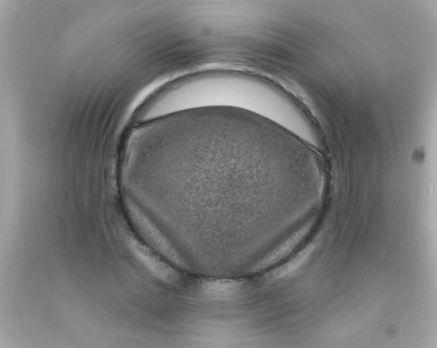 X0000091500830200709061920