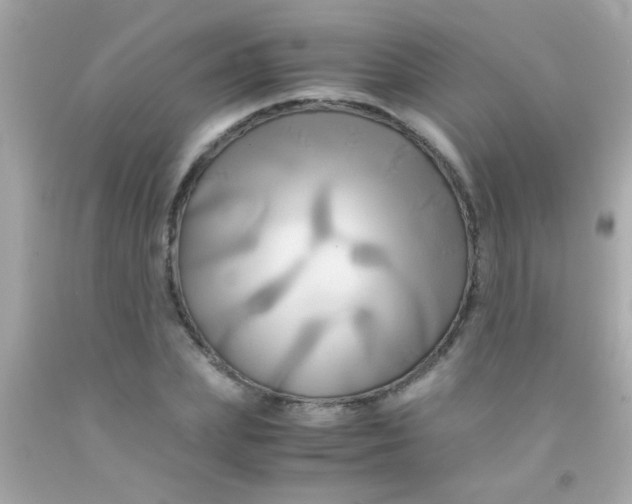 X0000091500831200709061920