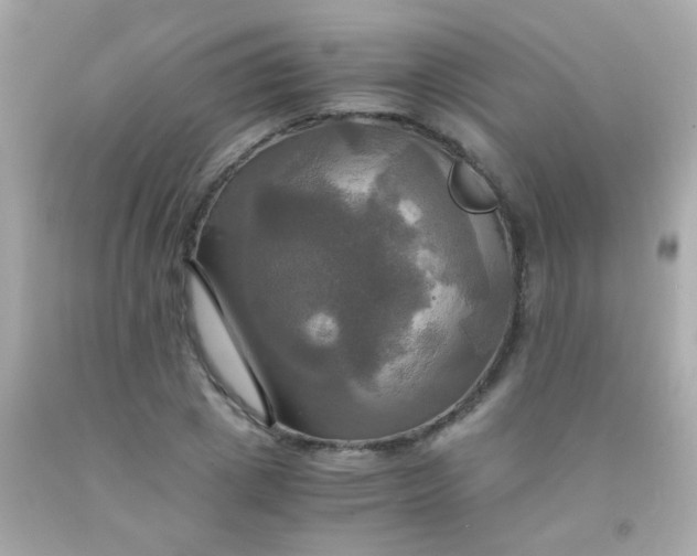 X0000091500833200709061920