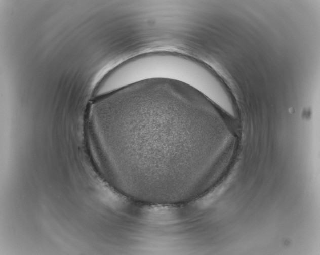 X0000091500834200709061920