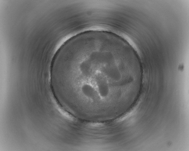 X0000091500837200709061921