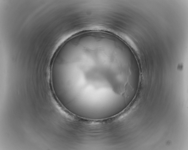 X0000091500839200709061921