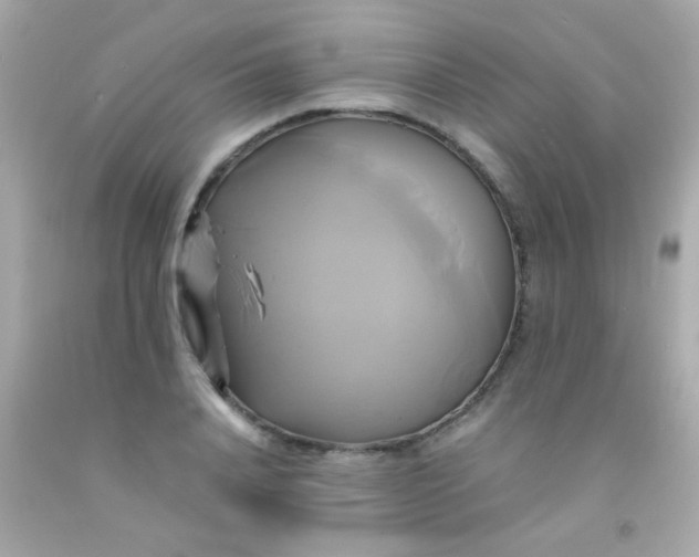 X0000091500840200709061921