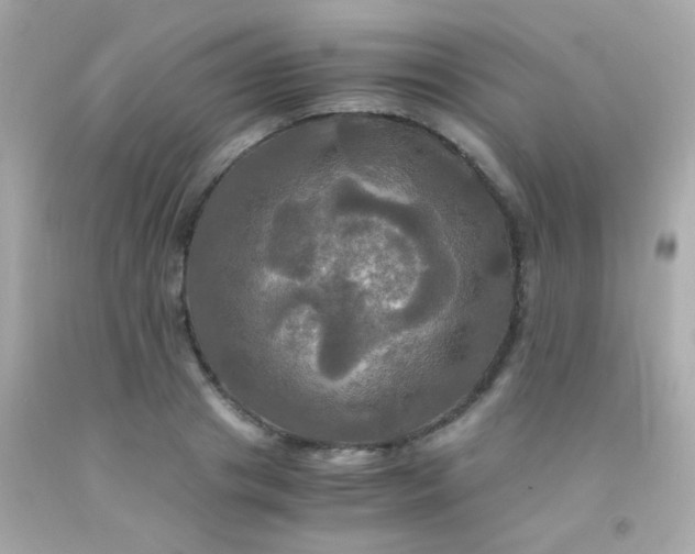 X0000091500841200709061921