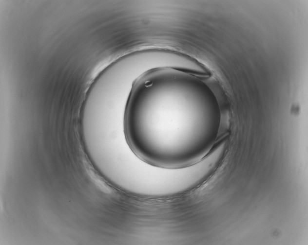 X0000091500842200709061921