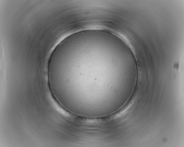 X0000091500843200709061921