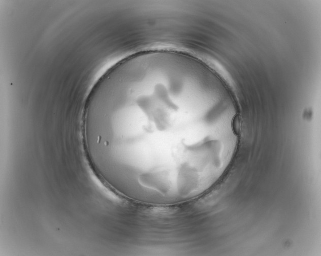 X0000091500847200709061921