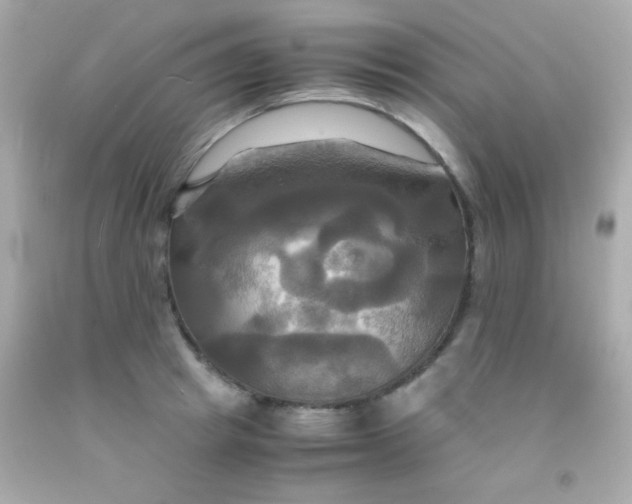 X0000091500849200709061921