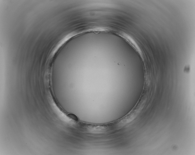 X0000091500851200709061921